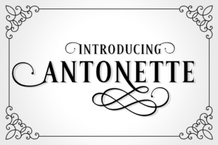 Antonette: A Luxuriant Serif Font for Retro Branding