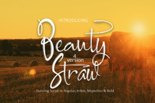 Beauty Straw: The Textured Script Font for Makers