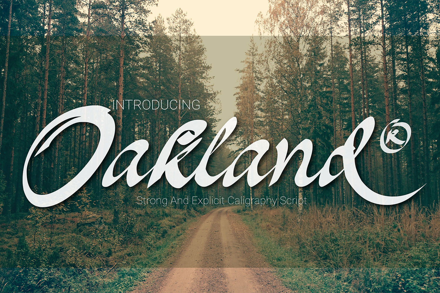 Choosing Oakland: A Modern Script Font for Web Headlines