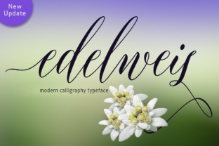 Edelweis: The Elegant Script Font for Modern Design