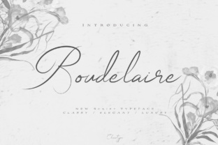 Elevate Your Brand with Boudelaire Script Font