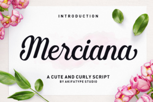 Merciana: A Legible Script Font for Modern Web Design