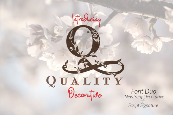 Quality: A Decorative Font Family for Unique Branding