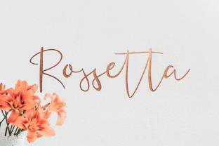 Rossetta: A Feminine Script Font for Digital Branding