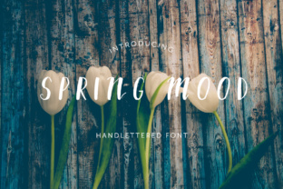 Spring Mood: A Clean All Caps Typeface for Editorial Design